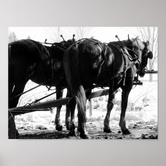 Op de Hitching Post Poster (Voorkant)