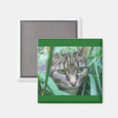 Op de Hunt Kat Magnet (Voorkant / Achterkant)