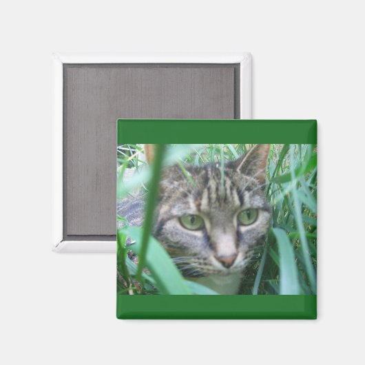 Op de Hunt Kat Magnet (Voorkant / Achterkant)