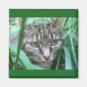 Op de Hunt Kat Magnet (Voorkant)