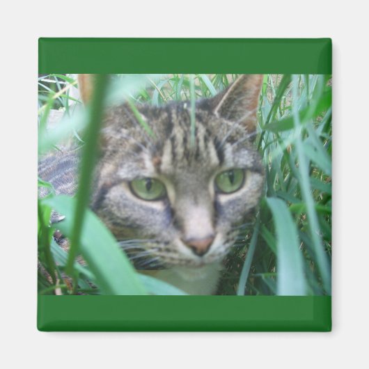 Op de Hunt Kat Magnet (Voorkant)