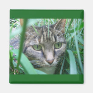 Op de Jacht Kat Magnet