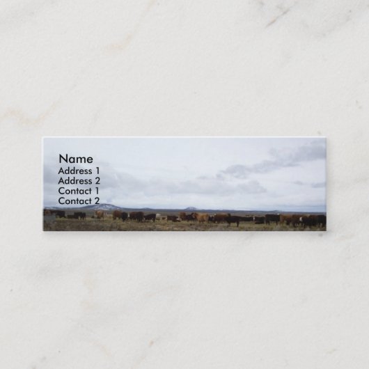 Op de kaarten van het Profiel van de Waaier Mini Visitekaartje (Voorkant)