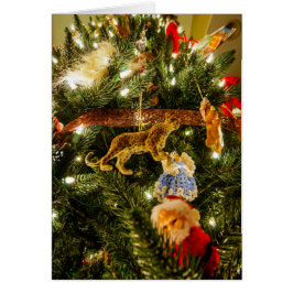 Op de kerstboom kijken