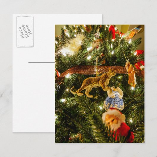 Op de kerstboom kijken feestdagenkaart (Voorkant / Achterkant)