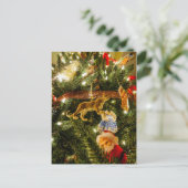 Op de kerstboom kijken feestdagenkaart (Staand voorkant)