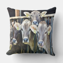 Op de Koeien van de Boerderij