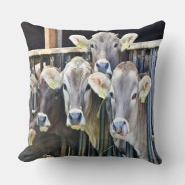 Op de Koeien van de Boerderij Kussen