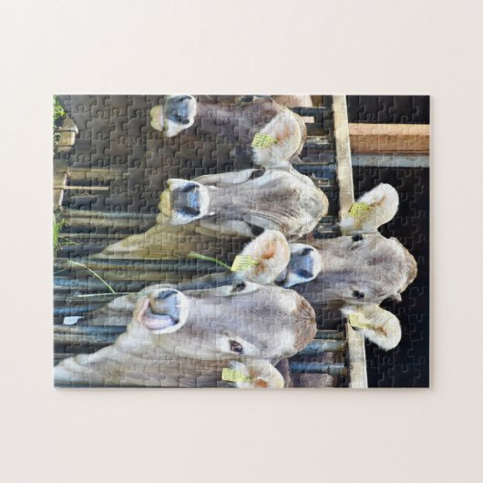 Op de Koeien van de Boerderij Legpuzzel (Horizontaal)