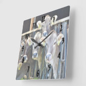 Op de Koeien van de Boerderij Vierkante Klok (Hoek)