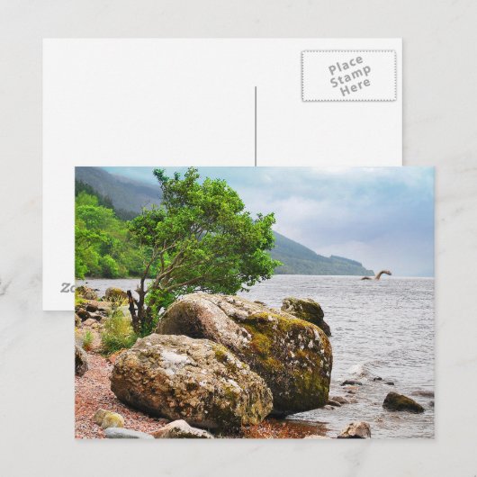Op de kusten van Loch Ness met het monster Briefkaart (Voorkant / Achterkant)