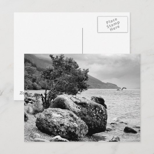 Op de kusten van Loch Ness met het monster Briefkaart (Voorkant / Achterkant)