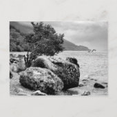 Op de kusten van Loch Ness met het monster Briefkaart (Voorkant)