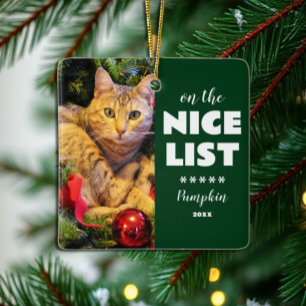 Op de leuke lijst Kerstmis kat huisdier foto Keramisch Ornament