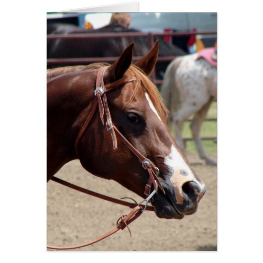 Op de paardenshow (Voorkant)