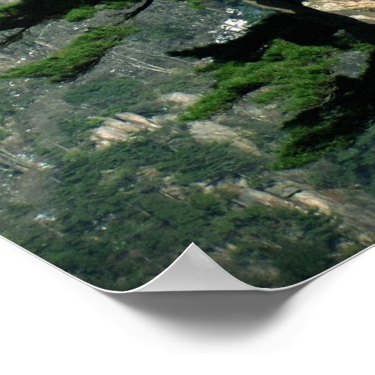 Op de piek - Huangshan Poster (Hoek)