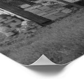 Op de rand - Koeien - zwart en wit Poster (Hoek)