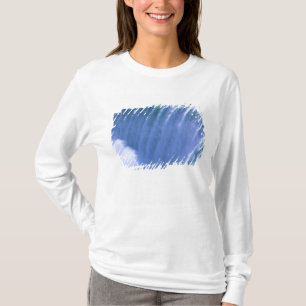 Op de rand van de krachtige Niagara Falls, New Yor T-shirt