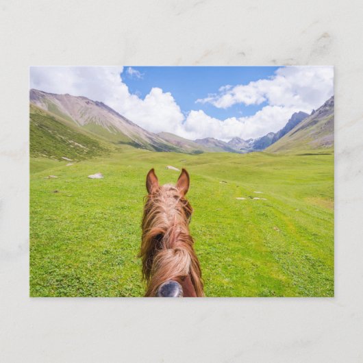 Op de rug van het paard briefkaart (Voorkant)