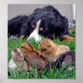 Op de taak poster (Voorkant)