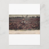 Op de tabaksvelden van Old Virginia Briefkaart (Voorkant)