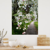 Op de takken van bloesems poster (Keuken)