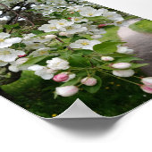 Op de takken van bloesems poster (Hoek)
