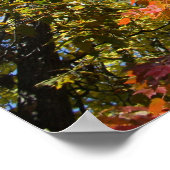 Op de Topjes van de boom Poster (Hoek)