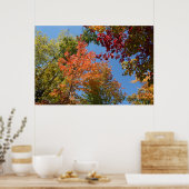 Op de Topjes van de boom Poster (Keuken)