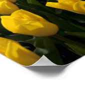 Op de Tulp-velden Poster (Hoek)