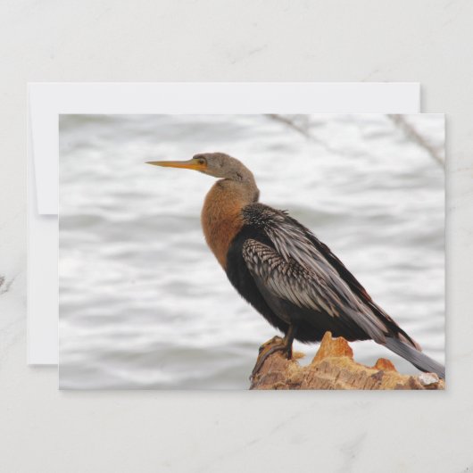 Op de uitkijk notitiekaartje (Voorkant)