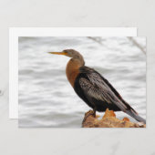 Op de uitkijk notitiekaartje (Voorkant / Achterkant)