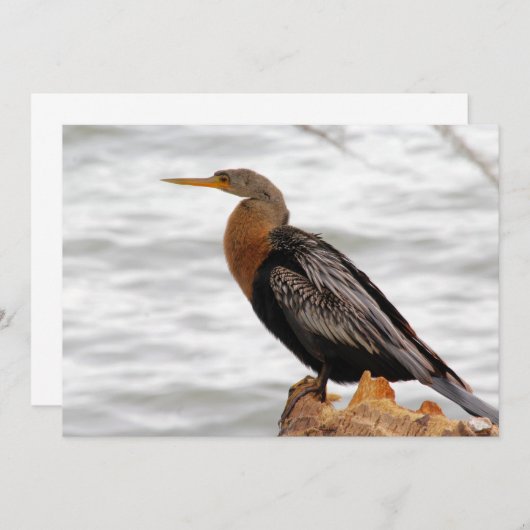 Op de uitkijk notitiekaartje (Voorkant / Achterkant)