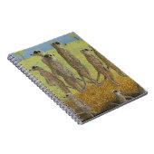 Op de uitkijkplaats notitieboek (Rechterzijde)