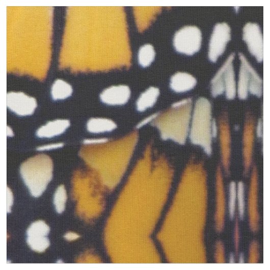 Op de vleugels van een monarch - Stof (Close Up)