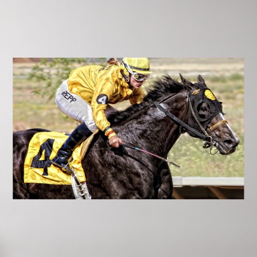 Op de vlucht poster (Voorkant)