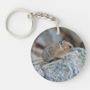 Op de waarschuwing sleutelhanger