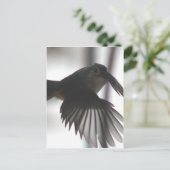 Op de wingt briefkaart (Staand voorkant)