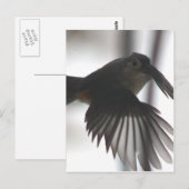 Op de wingt briefkaart (Voorkant / Achterkant)