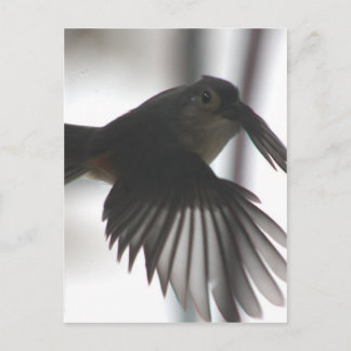 Op de wingt briefkaart