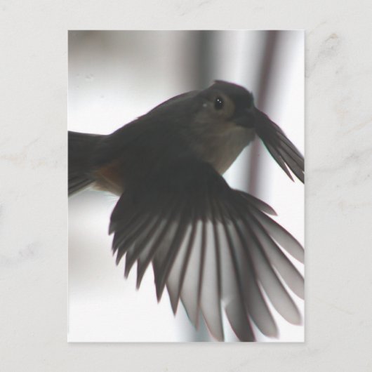 Op de wingt briefkaart (Voorkant)