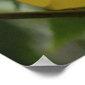 Op de zoekopdracht poster (Hoek)