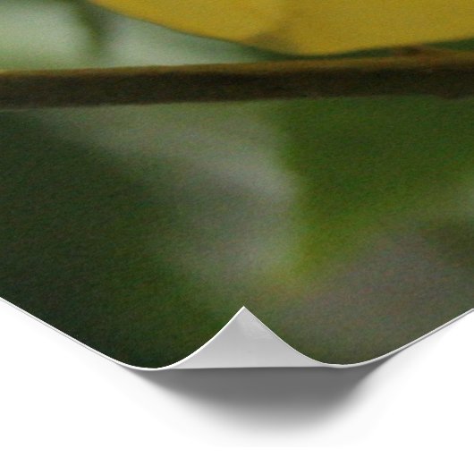 Op de zoekopdracht poster (Hoek)