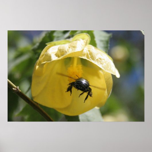 Op de zoekopdracht poster (Voorkant)