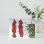 Op de zon gedroogde tomaten briefkaart (Staand voorkant)