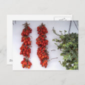 Op de zon gedroogde tomaten briefkaart (Voorkant / Achterkant)