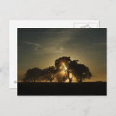 Op deze ochtend briefkaart (Voorkant / Achterkant)