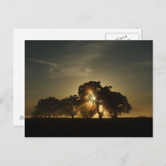 Op deze ochtend briefkaart (Voorkant / Achterkant)