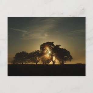 Op deze ochtend briefkaart
