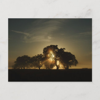 Op deze ochtend briefkaart